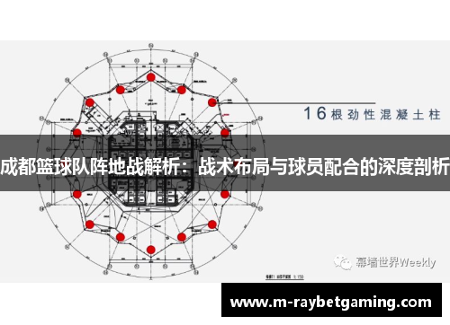成都篮球队阵地战解析：战术布局与球员配合的深度剖析